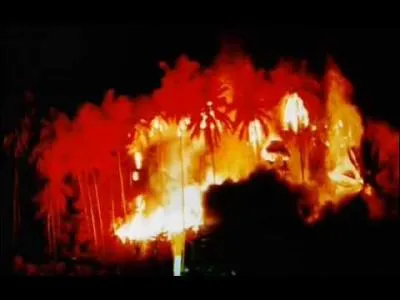 Quelle chanson entend-on pendant que Willard limine Kurtz ?