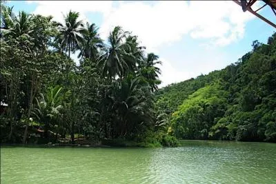 Durant le tournage, par quoi le plateau, qui tait situ dans la jungle, fut-il dvast ?