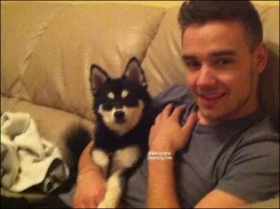 Quel est le nom du chien de Liam Payne ?