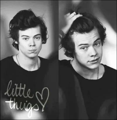 Quel est le signe astrologique d'Harry Styles ?