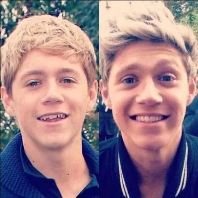 Les Directioners sont appel d'une autre faon; le 'crateur' de ce nom est Niall Horan.