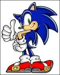 Concluons ce quiz avec un clbre hros de jeu vido qui a donn son nom  un gne qui nous a t bien utile : le gne Sonic Hedgehog. 
A quoi sert ce gne ?