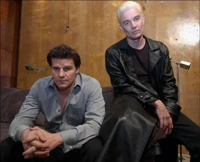 Comment s'appelle le beau et tnbreux vampire dont Buffy est amoureuse pendant presque toute la saga ?