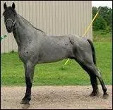 Quelle est cette robe ?