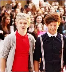 Quelle est la fiction de Niall et Louis ?