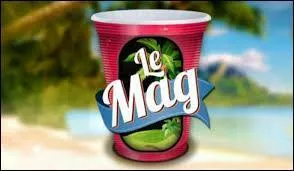 Qui Prsente mission ?