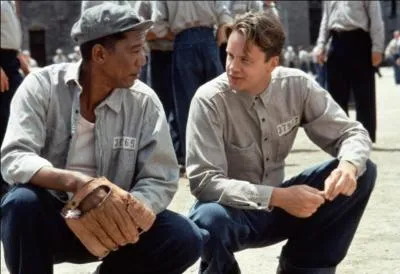 Film magnifique et mouvant de Frank Darabont : un jeune banquier est condamn  la prison  vie pour le meurtre de sa femme et l'amant de celle-ci. Il est emprisonn  Shawshank, pnitencier le plus svre de l'tat du Maine. Il y fait la rencontre d'un prisonnier noir dtenu depuis 20 ans. Commence alors une grande histoire d'amiti. En lien : Canzonetta sull'aria (les noces de Figaro) de Mozart.