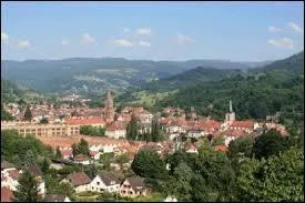 Munster est une ville situe ...