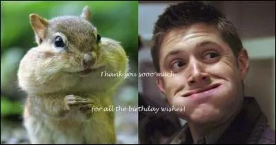 Qu'aime manger par dessus tout Dean ?