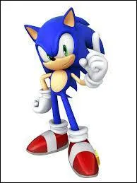Quel est l'instrument dont Sonic joue ?