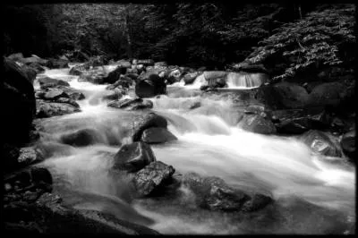 Qui chantait   Elle chante, elle chante la rivire insolente qui unit dans son lit les cheveux blancs, les cheveux gris  ?