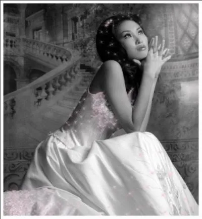 Qui chantait   Dis moi un peu si elle porte toujours dans ses cheveux ses essences d'amour  ?