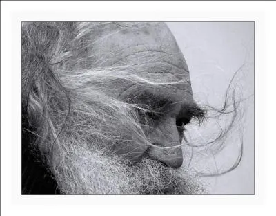 De qui sont les paroles   Avec ma gueule de mtque, de juif errant de ptre grec et mes cheveux aux quatre vents  ?