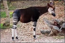 O peut-on le rencontrer ?