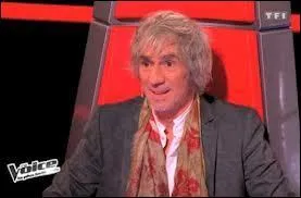 Quel chanteur ne fait pas partie de  The Voice , saison 4 ?