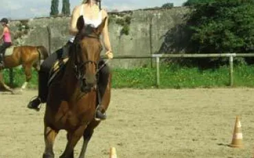 Quiz Galop 1