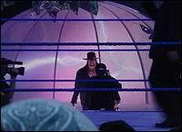 Quel poids fait-il environ ?