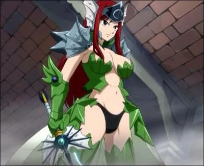 Quelle est cette armure ?