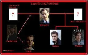 De quelle origine est la famille Salvatore ?