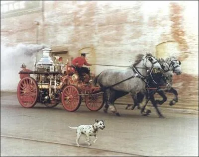 A Hartford (Connecticut) que ne doivent pas faire les pompiers, mme en cas d'urgence ?