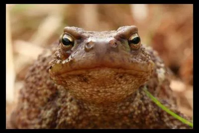 En Indiana, pour certains concerts, il est illgal de faire payer les gens. Pourquoi ?