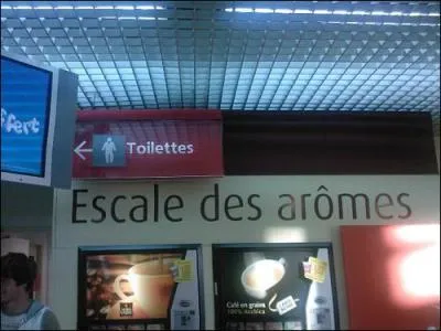 Trouvez la bonne affirmation !