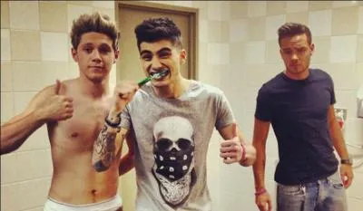 Lequel d'entre eux mange (presque) tout le temps ?