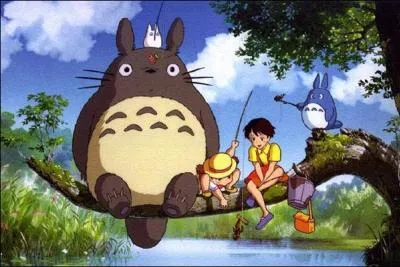 Combien Ch-Totoro mesure-t-il ?