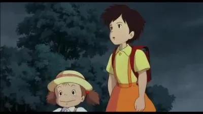 Que propose Satsuki  son pre au dbut du dessin anim ?