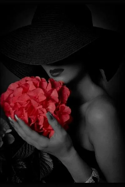 Comment ferez-vous si vous souhaitez obtenir des hortensias rouges ?