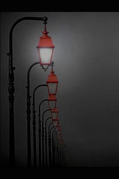 Dans quel livre rencontre-t-on un allumeur de rverbres ?