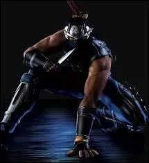 Et ce personnage, faisant aussi partie de Dead or Alive mais aussi le hros de Ninja Gaiden ?