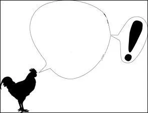Que crie ce coq ?