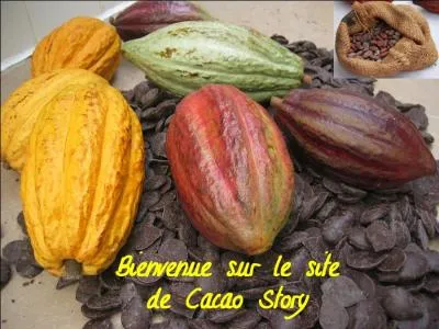 Quel est le pays le plus gros producteur de cacao ?
