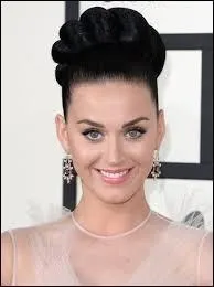 En quelle anne est sorti son single 'Firework' ?