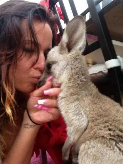 Comment s'appelle le kangourou des Anges, cette anne ? (2014)