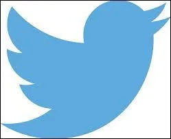 Comment s'appelle cette marque de rseau social ?