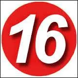 Que concernent-ils ? (ils = rponse de la Q16)