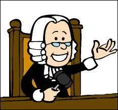 Et comment sont-ils jugs ? (ils = rponse de la Q16)