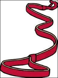 Qu'est-ce qu'une laisse ?