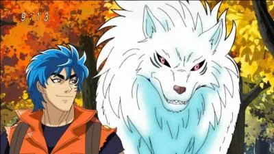 Comment se nomme le battle wolf de Toriko ?