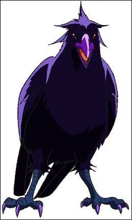 Comment se nomme le compagnon de Coco ?