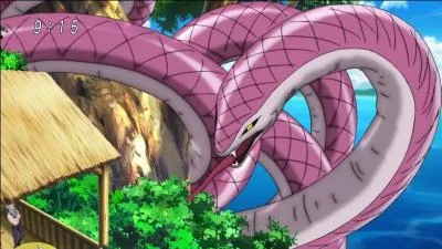 Comment se nomme le compagnon de Sani ?