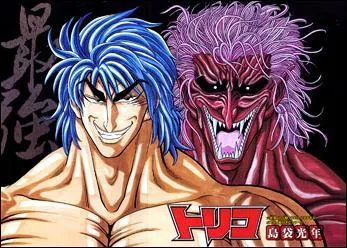 Qui est amoureuse de Toriko ?