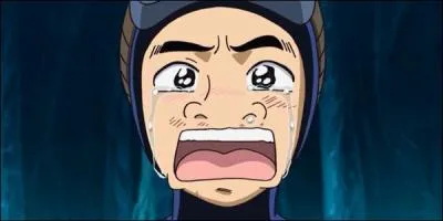 Qui est l'autre personnage faisant partie du tandem de Toriko ?