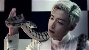 Et dans combien de dramas a-t-il jou ?