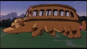 Par o entre-t-on dans le chat-bus ?