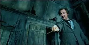 En quel bois est faite sa baguette ?