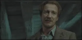 Combien de centimtres fait sa baguette ?