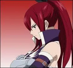 Quand elle part en voyage Erza emmne toujours des tonnes de bagages avec elle. Que contiennent toutes ces valises ?